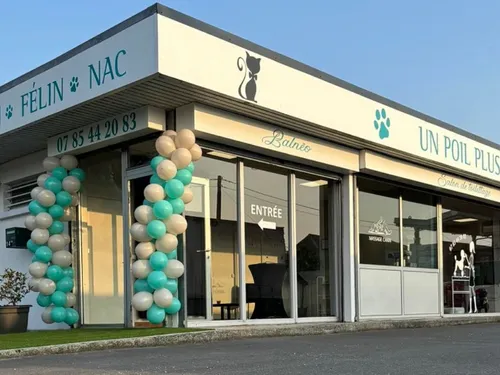 Etréaupont : l’ouverture d’un nouveau commerce