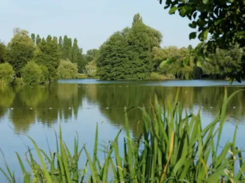 Le lac du Paradis fermé au public à Louvroil pour des raisons de...