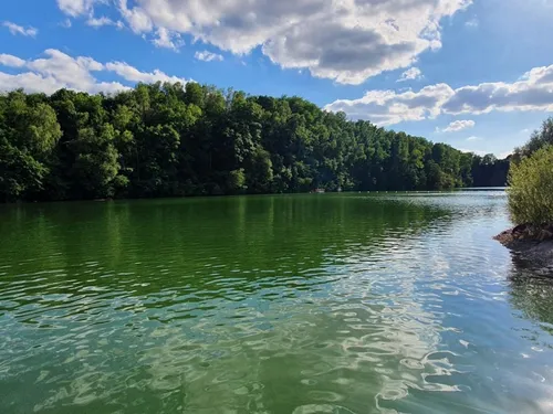  Jeumont : alerte aux cyanobactéries dans l’étang du Watissart 