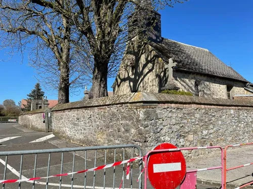 Les deux marronniers en cours d'abattage à Wattignies-La-Victoire
