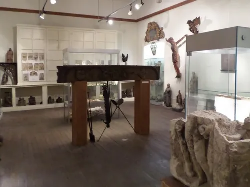 La mérule traitée à L'institut Villien d'Avesnes-sur-Helpe 