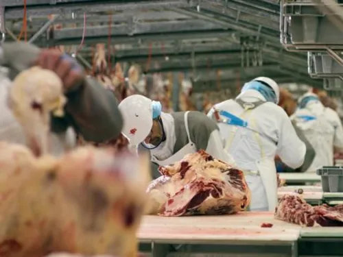 Bigard Feignies recrute : un café pour découvrir les métiers