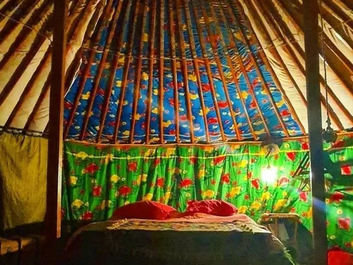 Willies : le joli succès cet été du camping « Git'Avesnois »