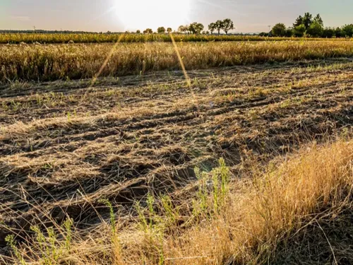 MÉTÉO — Sambre-Avesnois-Thiérache : un coup de chaud express et modéré