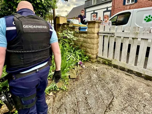 Hirson : 11 chats sauvés de l’enfer samedi soir 