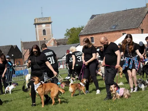 Prisches : le retour de la fête du chien ce week-end 