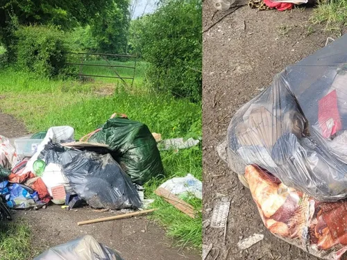 Rocquigny : un nouveau dépôt sauvage découvert sur le chemin de...