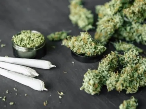 Une tonne de cannabis saisie hier matin à Maubeuge