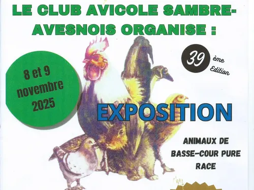 Exposition d'animaux de basse-cour