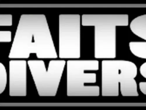 Tupigny : une vache dépecée pour sa viande et retrouvée dans un champ