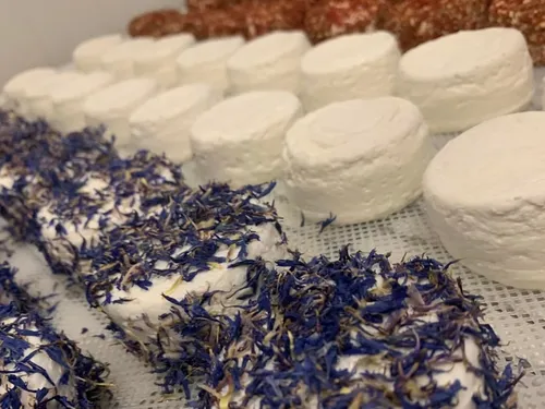 Landrecies : opération portes ouverte ce dimanche à la ferme des...