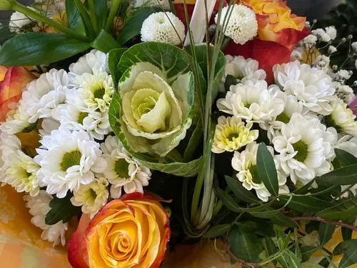 Le Nouvion-en-Thiérache : deux commerces réunis sous un seul et...