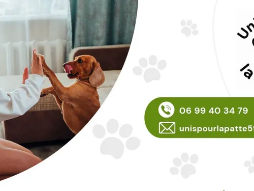 « Unis pour la patte » vous aide avec votre chien !