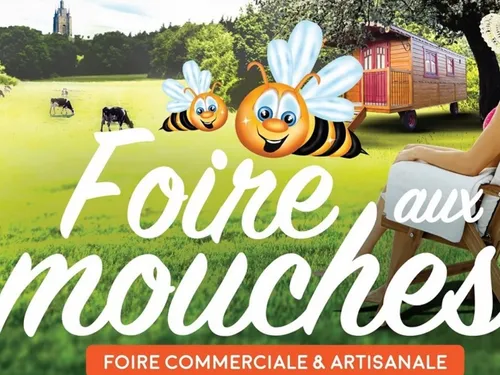 Et si la foire aux mouches d’Avesnes-sur-Helpe était relancée ?
