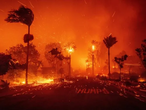 Los Angeles en flammes : témoignage d'un Avesnois sur place