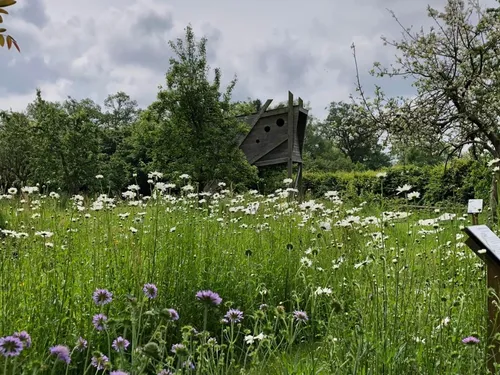 Sains-du-Nord : une nouvelle exposition sur les insectes à la...