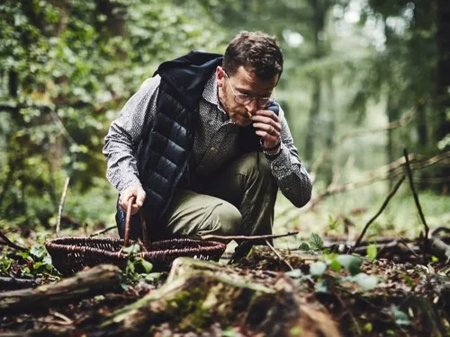 Cèpes, girolles, trompettes… la saison des champignons est lancée !