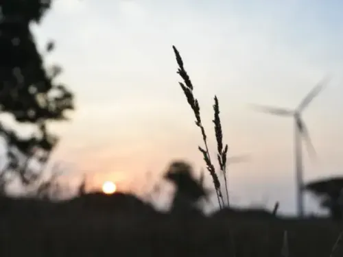 Des éoliennes entre Saint-Rémy et Bachant ?