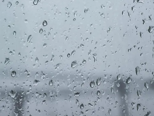 Peu de dégâts pour la tempête Benjamin en Avesnois