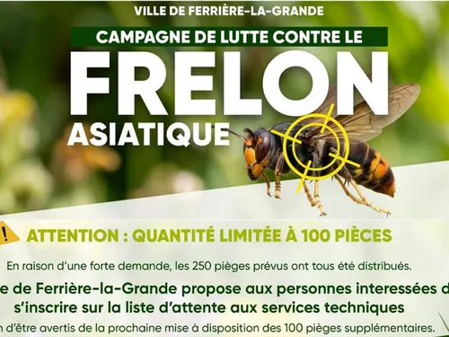Ferrière-la-Grande : nouvelle commande de pièges à frelons...