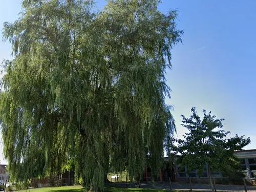 Sassegnies - Du changement en centre-ville