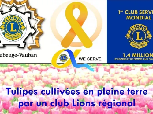 Maubeuge / Hautmont : des tulipes contre le cancer