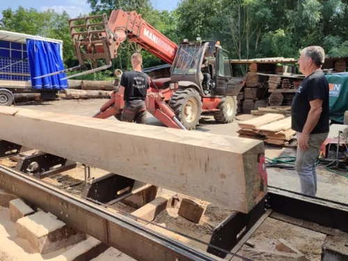 Wimy : des chênes façonnés pour la charpente de Notre-Dame de Paris