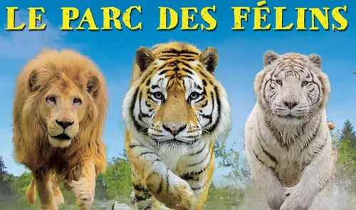 Parc des Félins