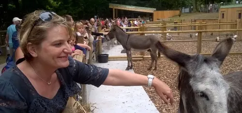 Le succès fou de la ferme pédagogique du Quesnoy !