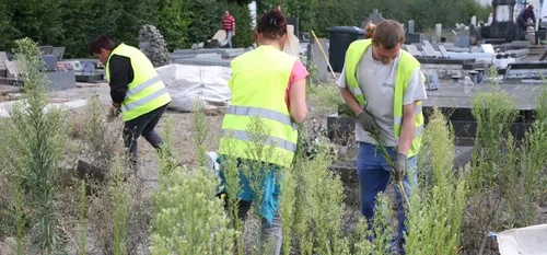 L’entretien du cimetière d’Aulnoye-Aymeries crée la polémique sur...