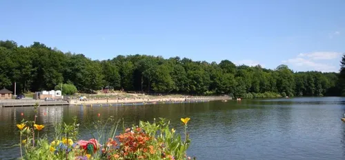 Un été de transition pour le site touristique des Etangs des Moines...