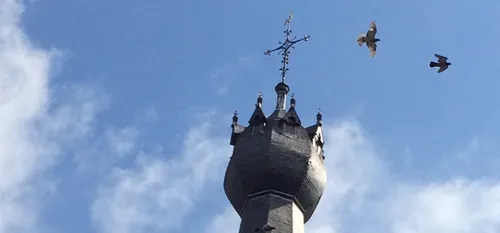 Solre-le-Château : les Short'Visit feront l'ascension du clocher...