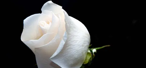 Jeumont : une marche blanche samedi, en hommage à la jeune Maman...