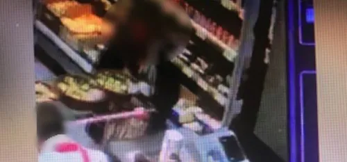 Ils volent une tirelire contenant des dons sous les yeux de leur...