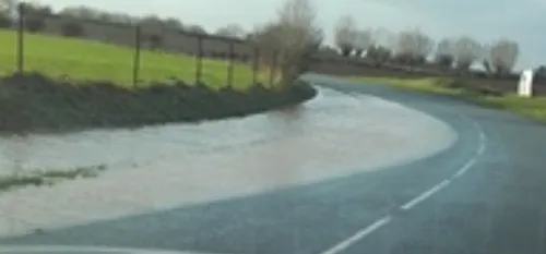 C'est vous qui le dites