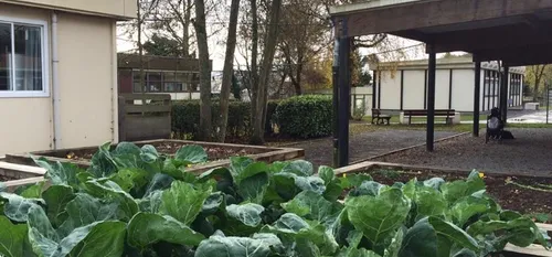 Région des Hauts-de-France : plus de 2 millions d’euros pour...