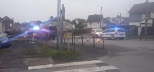 Maubeuge - Un chien sème la panique dans le quartier Montplaisir