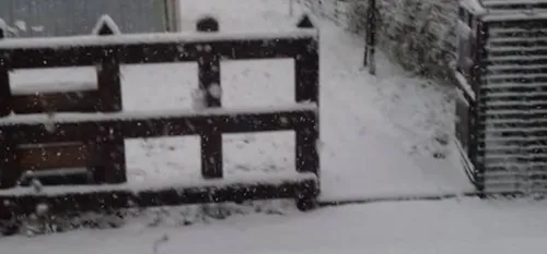 La neige ferait son retour la semaine prochaine !!