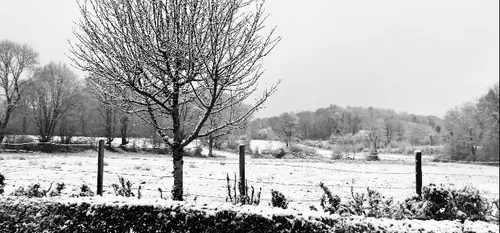 - 20 degrés pour la fin février ?