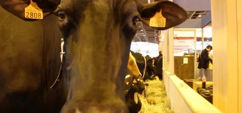 L'Avesnois bien présent au Salon de l'Agriculture 2018 !