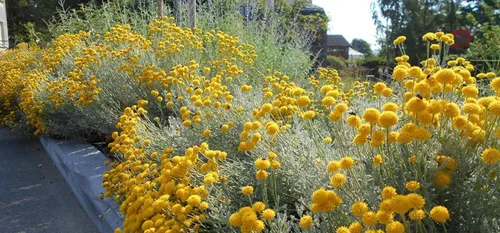 Les jardins de Sains du Nord : réouverture ce week-end