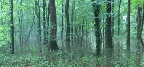 Mormal - Fermeture du Sentier des Nerviens à cause des inondations