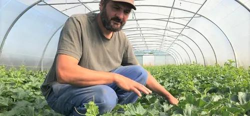 Sars-Poteries - "Les Jardins d'Eugénie", des saveurs bio, de la...