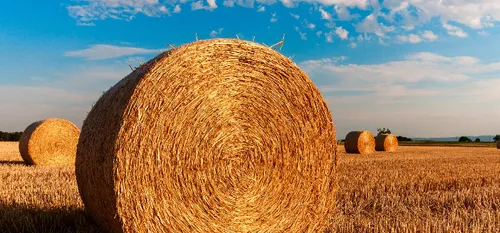 Suicide chez les agriculteurs - Alexander Grimaud, le Sous-Préfet...