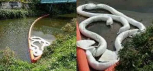 Jeumont - Quinze Sapeurs-Pompiers sont intervenus ce matin pour de...