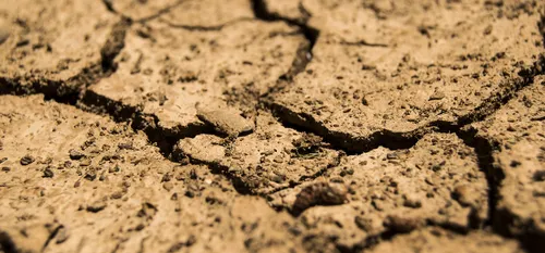 Sécheresse 2017 - Le Ministre de l'Agriculture reconnait le...