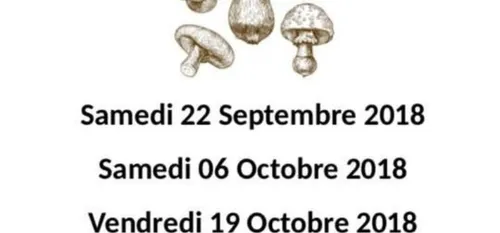 Ors : Cueillette de champignons