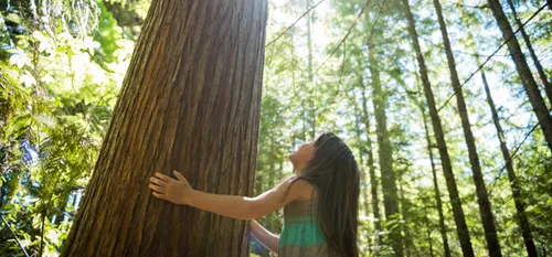 Contournement d’Avesnes, mise à 2 x 2 voies de la RN2, câlins avec...