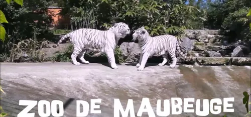 Maubeuge : le Zoo gratuit ce week end pour les maubeugeois