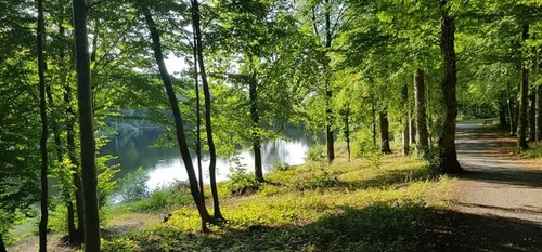 L'actualité en bref du 19 octobre dans le Cœur de l'Avesnois et au...